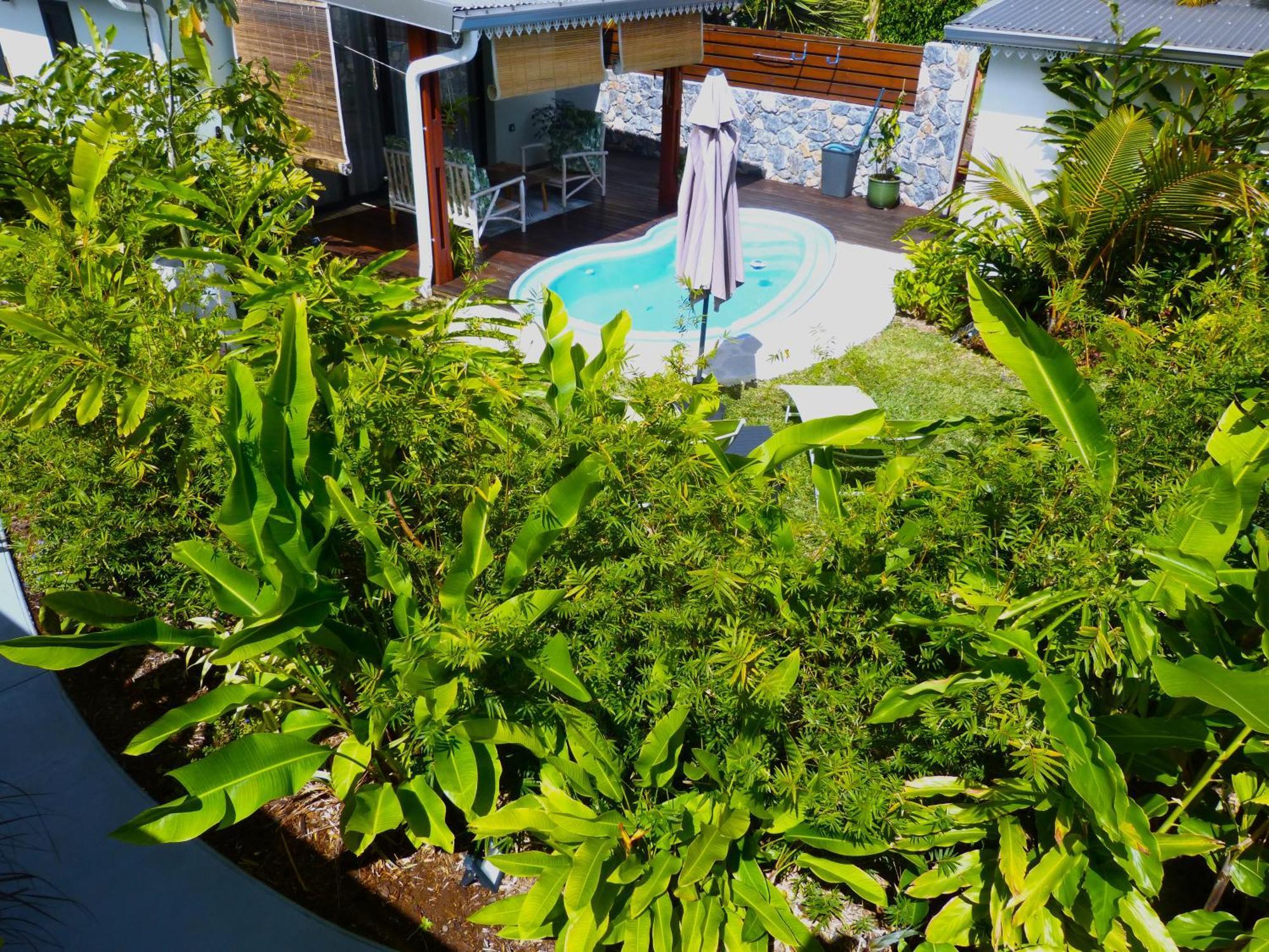 Bungalow Citronnelle Saint Pierre Bagian luar foto
